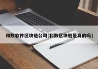 和数软件区块链公司[和数区块链是真的吗]